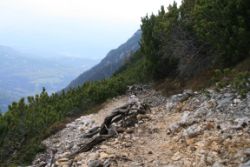 2011-04-24_Regina-F-Rau_Brunnstein-Spitze (276).JPG